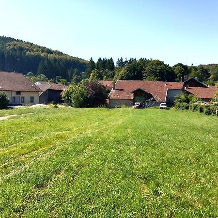Le Geleinfete I - Gite Vosges A Proximite De Gerardmer Herpelmont ภายนอก รูปภาพ